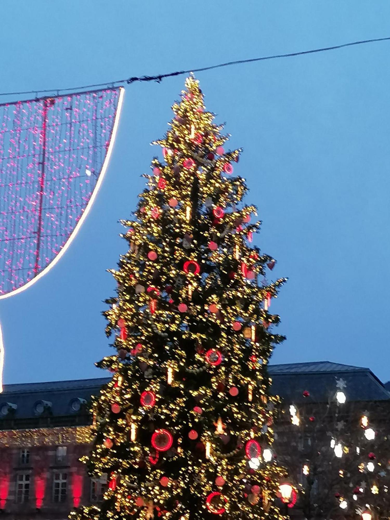 A La Tour Des Rohan Lägenhet Strasbourg Exteriör bild